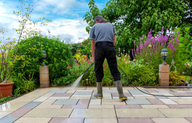 Best Fence Cleaning  in Novato, CA